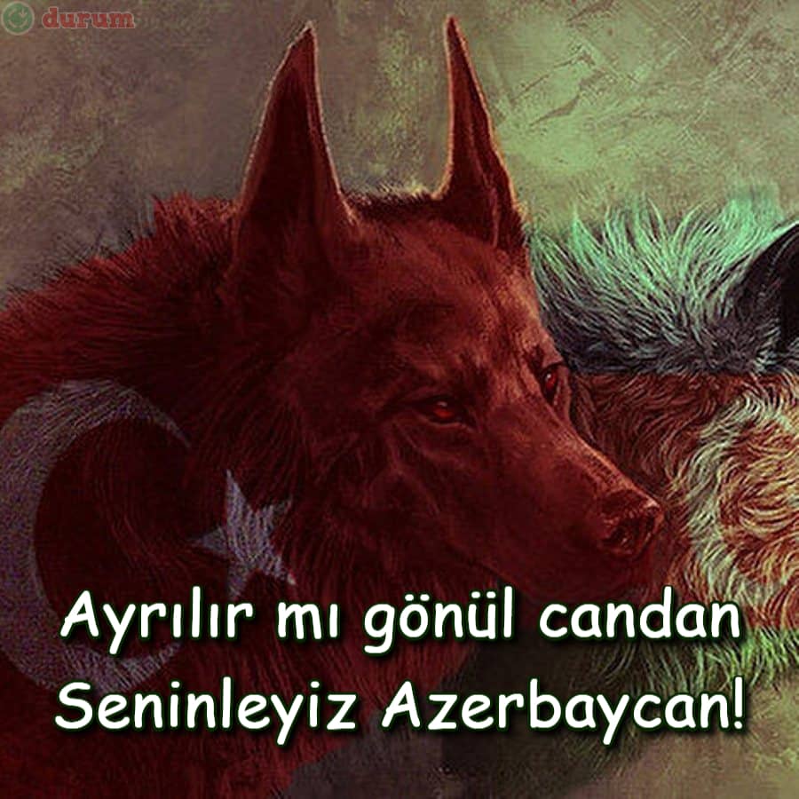 Tek millet, iki devlet
