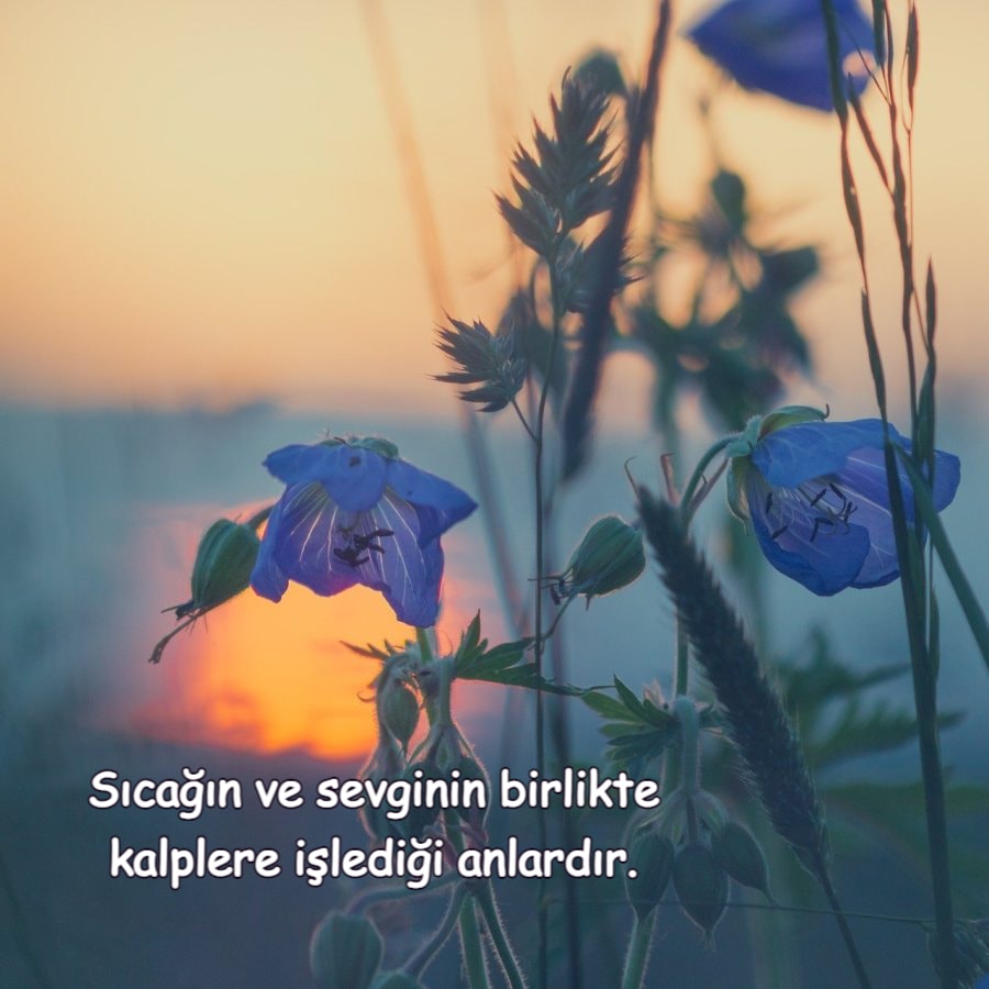 Temmuz Ayı Sözleri İndir Resim