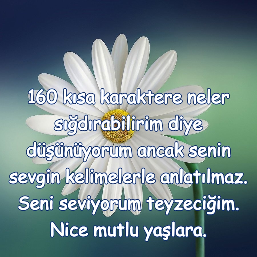 Teyzeye Doğum Günü Mesajı
