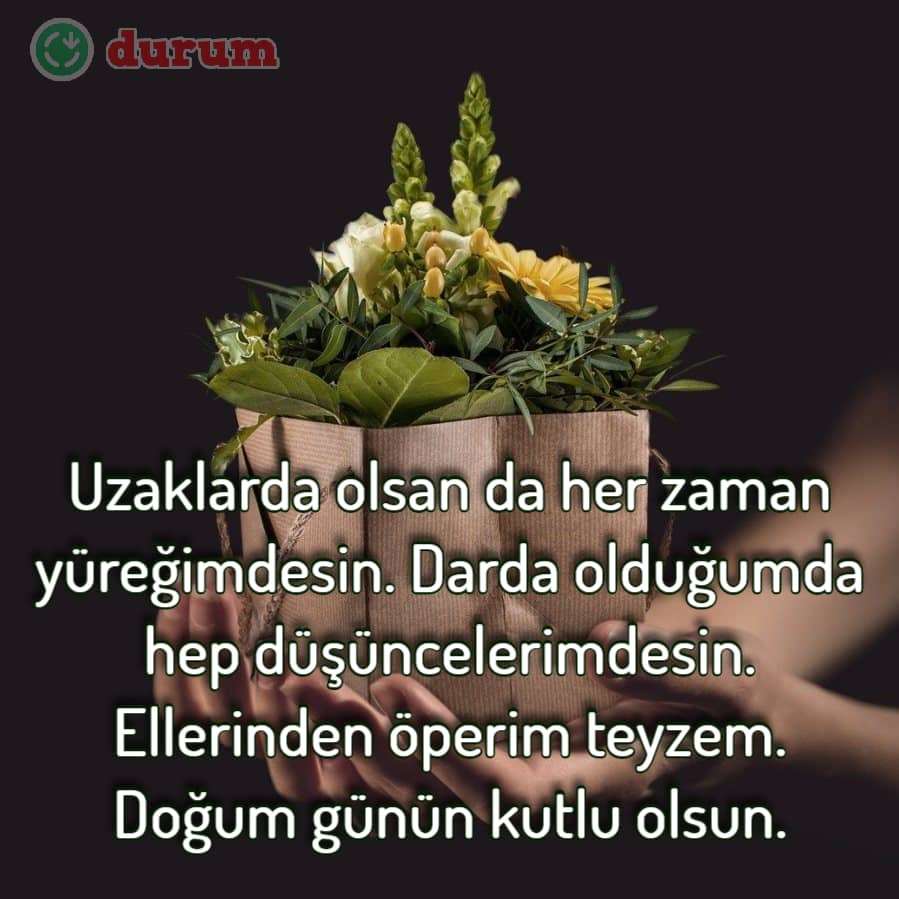 Teyzeye Resimli Doğum Günü