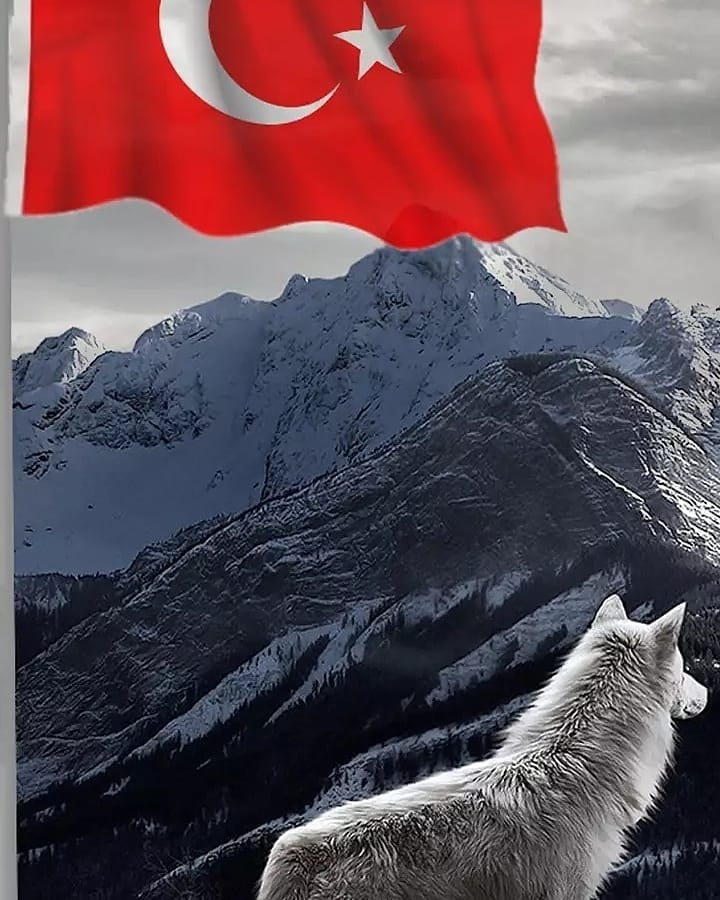 türk bayrağı whatsapp profil resmi 