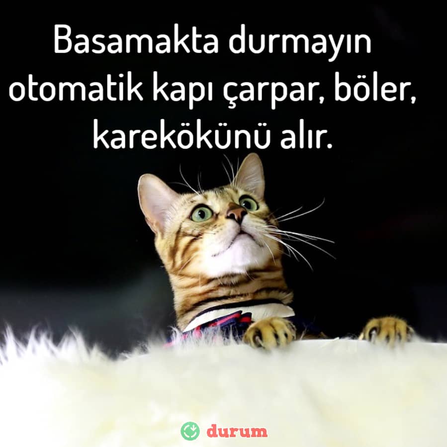 Twitterlık iğrenç espriler