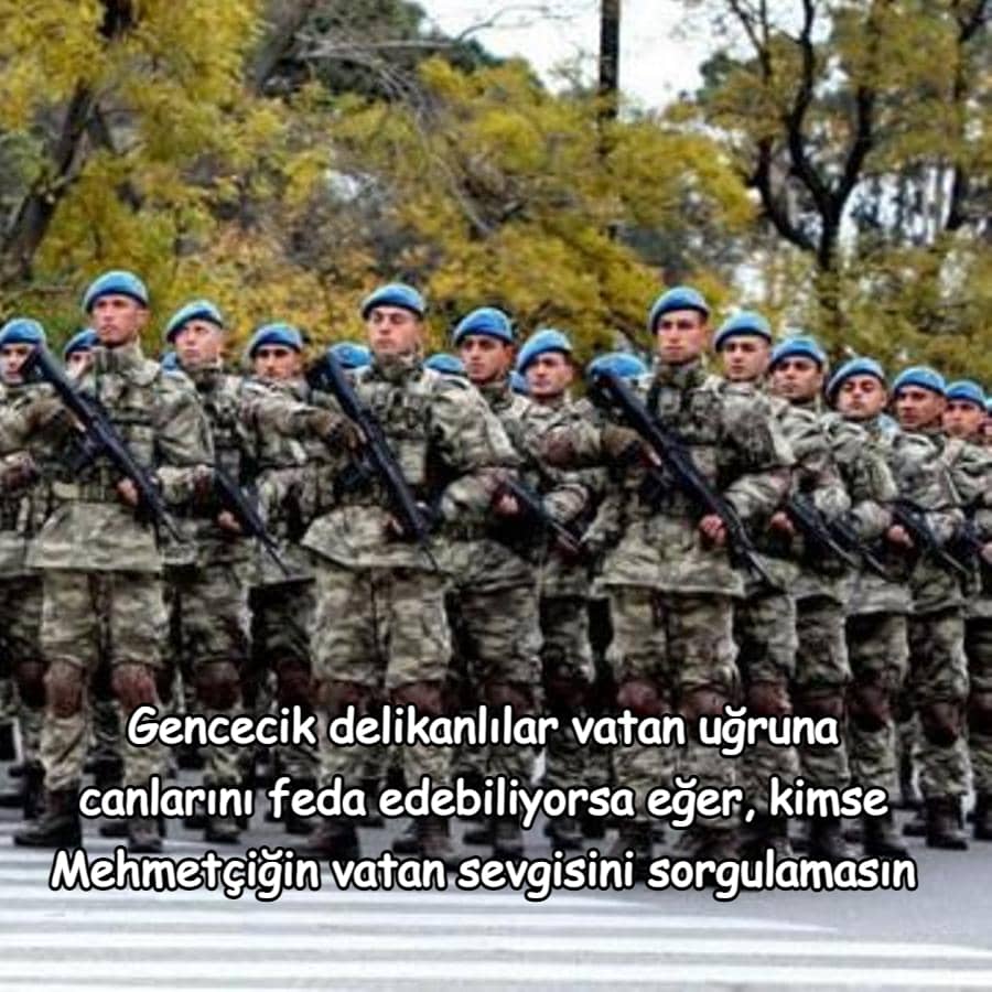 vatan sözleri resimli indir