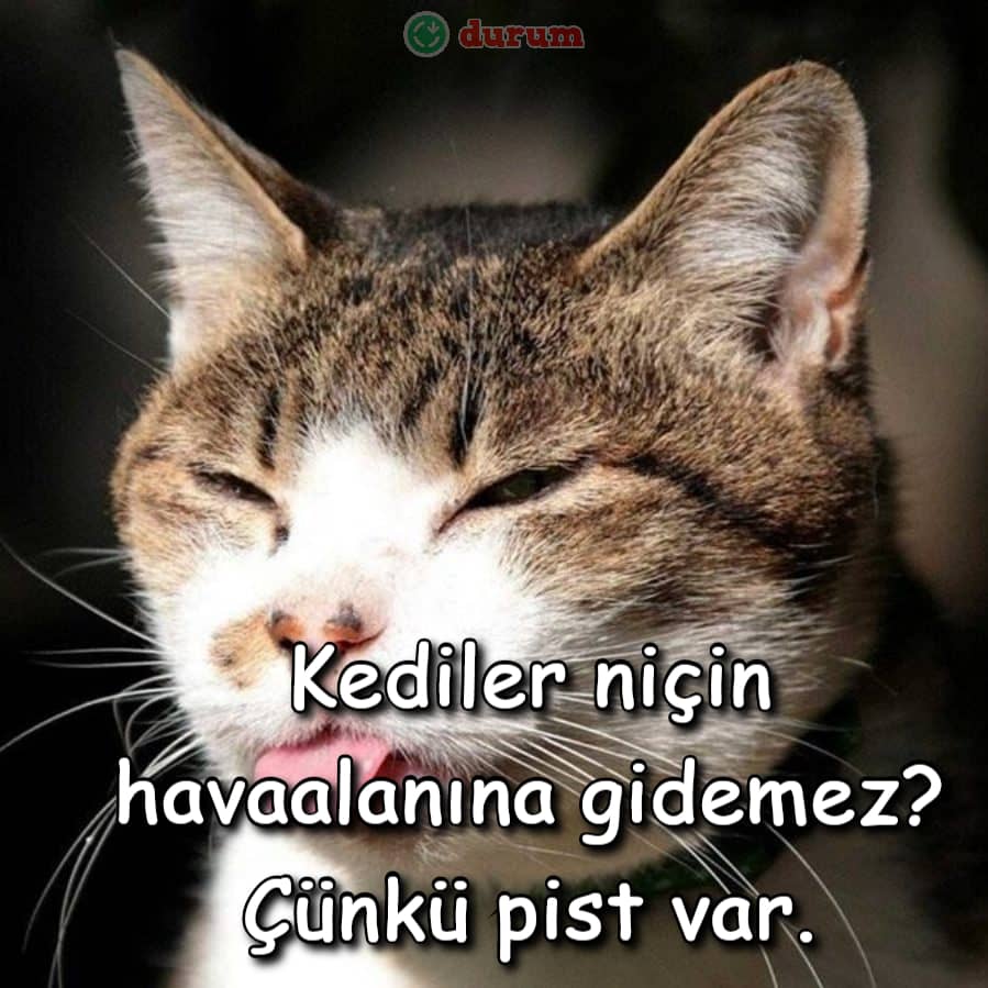 Whastapp için iyrenç espirler