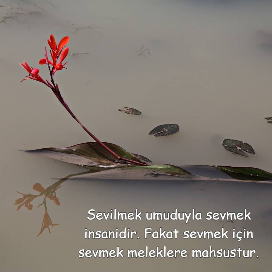 Whatsapp durum duygusal