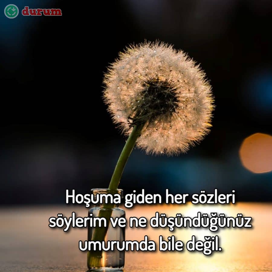 Whatsapp Durum Sözleri indir