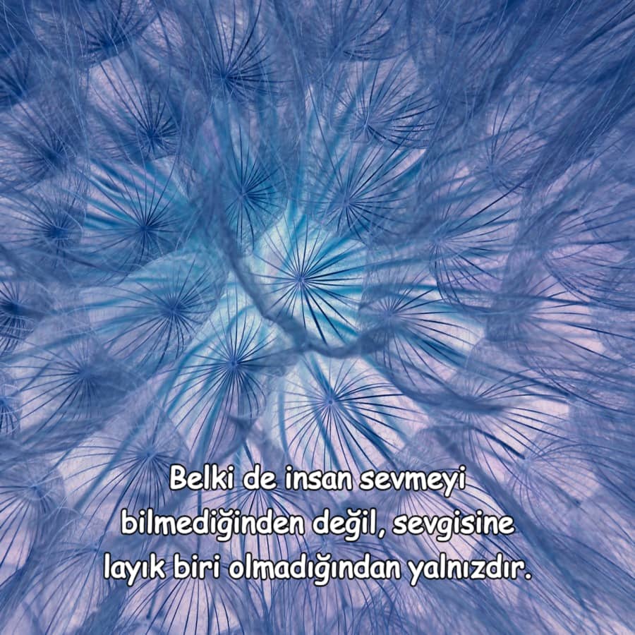 Whatsapp Durum Sözleri