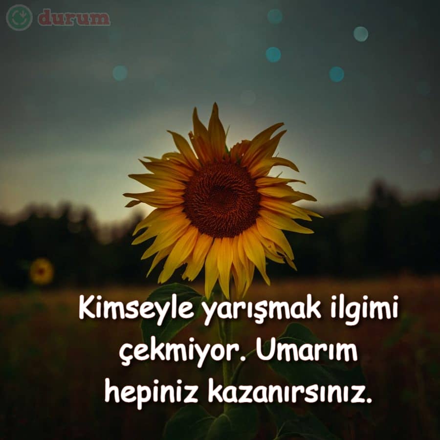 Whatsapp için sözler
