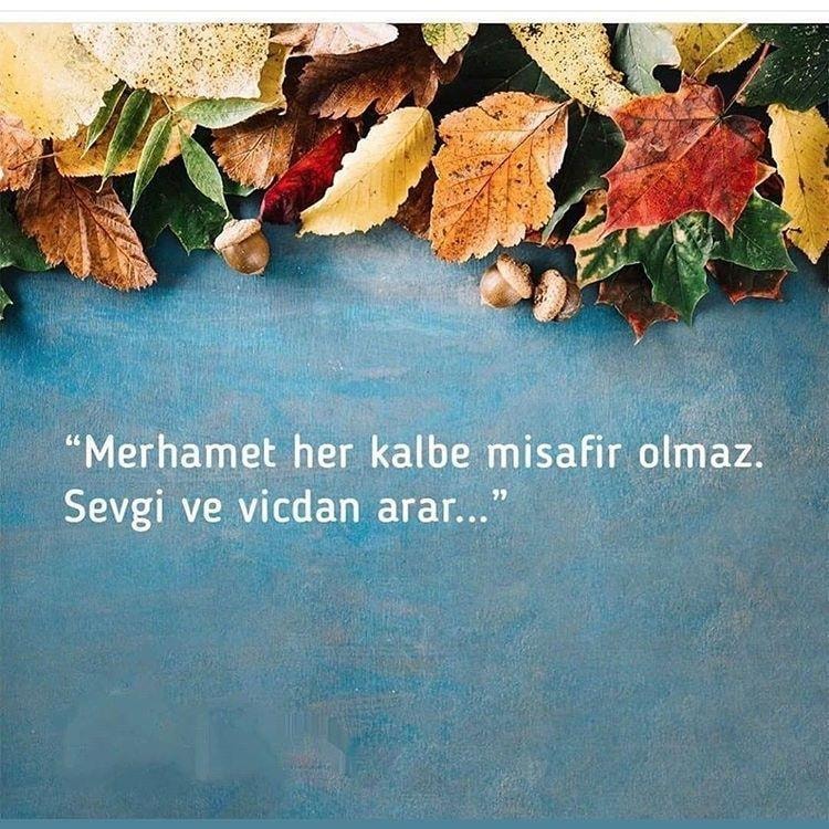 wp durum aşk resmi