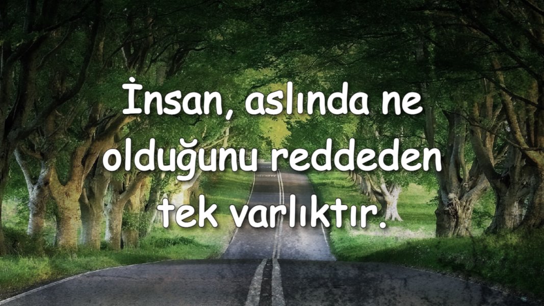 wp durum resmi indir
