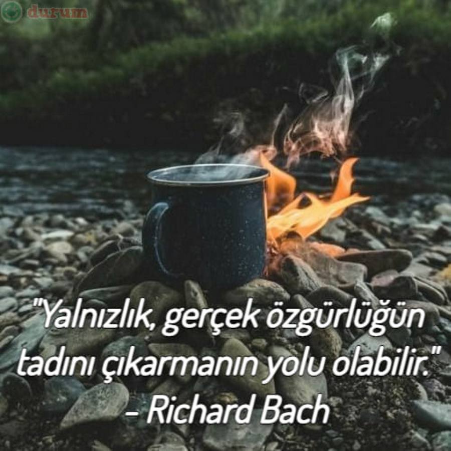 Yalnız Olmak İle İlgili Alıntılar indir