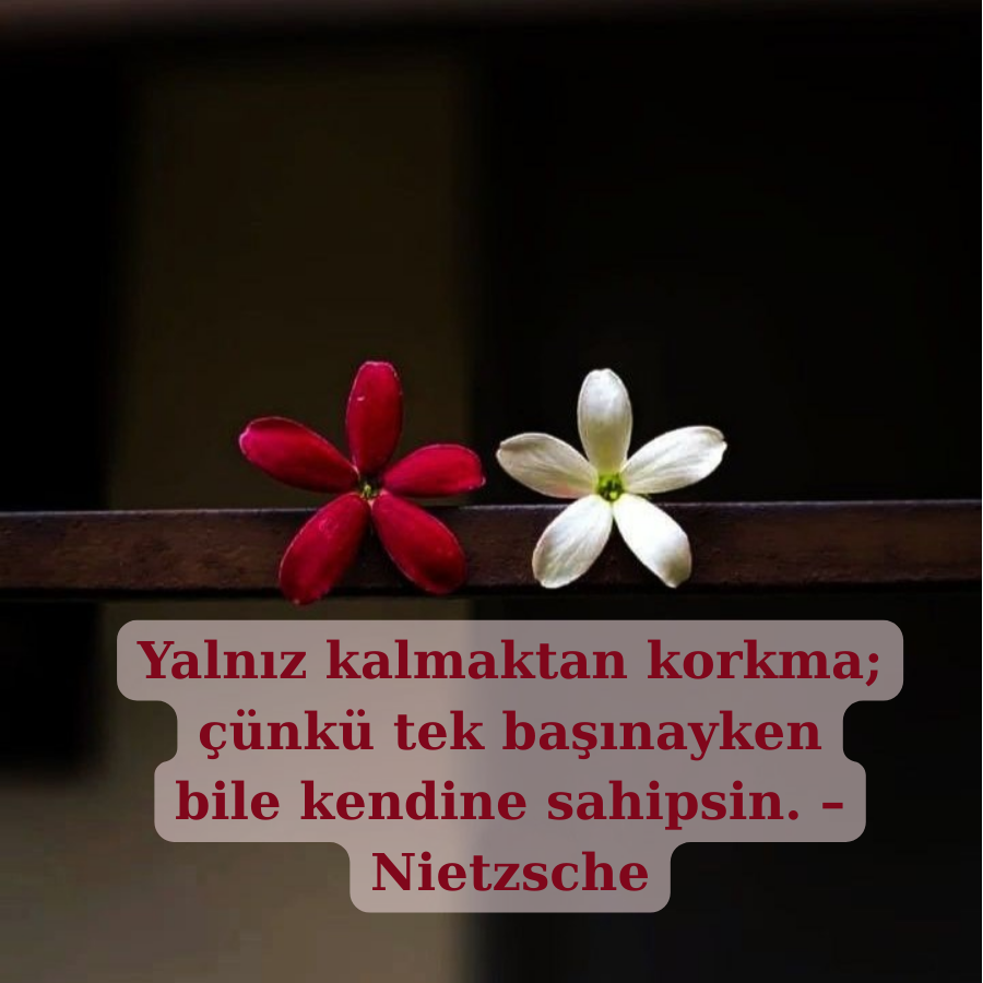 Yalnızlığın Gücü