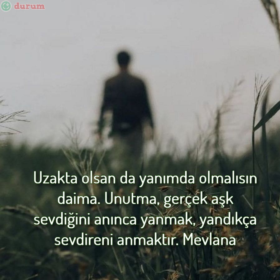 Yanmakla İlgili Sözler Mevlana