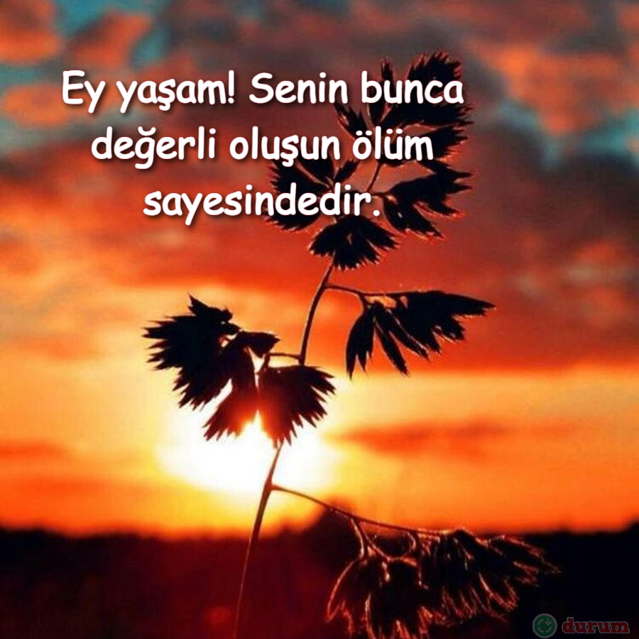 Yaşam Sözleri