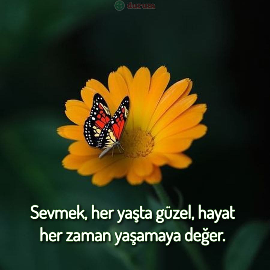 Yaşamaya Değer Sözler kisa