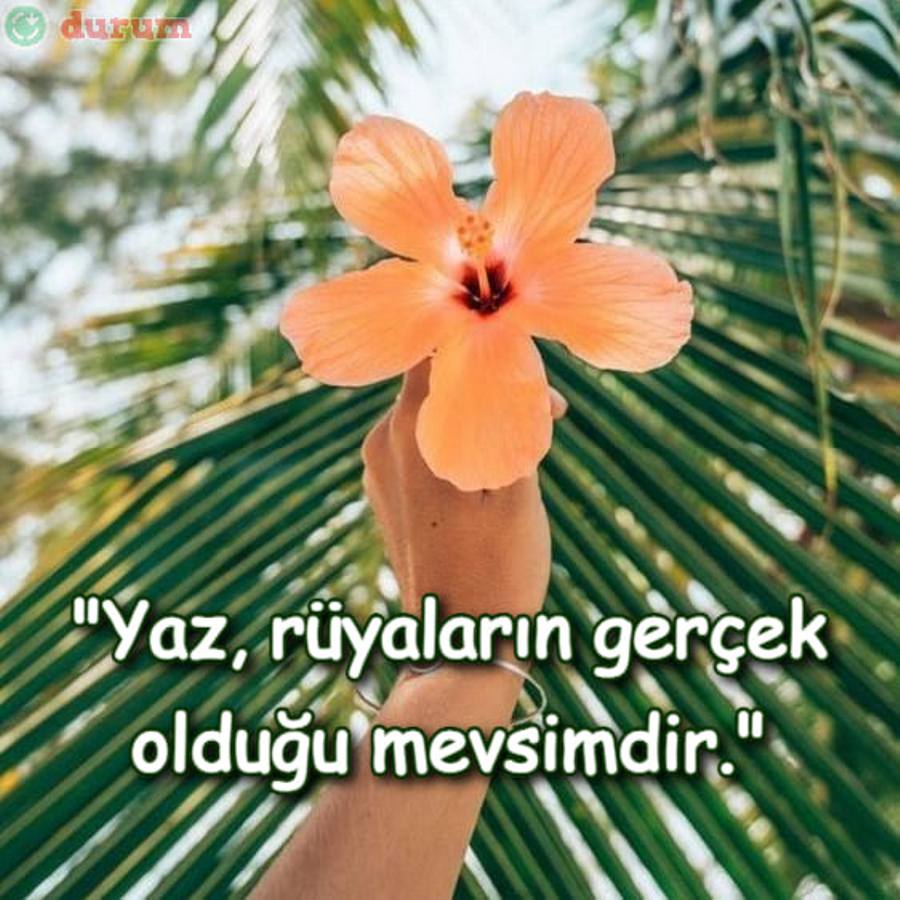 Yaz ile ilgili sözler yeni