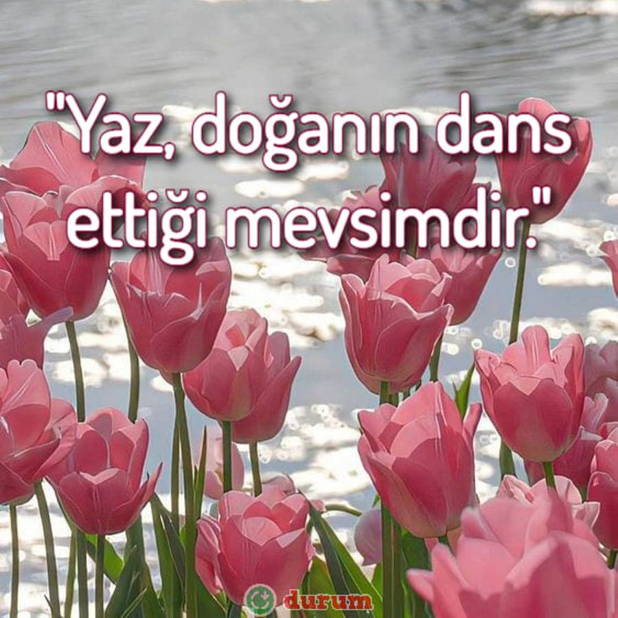 Yaz resimleri
