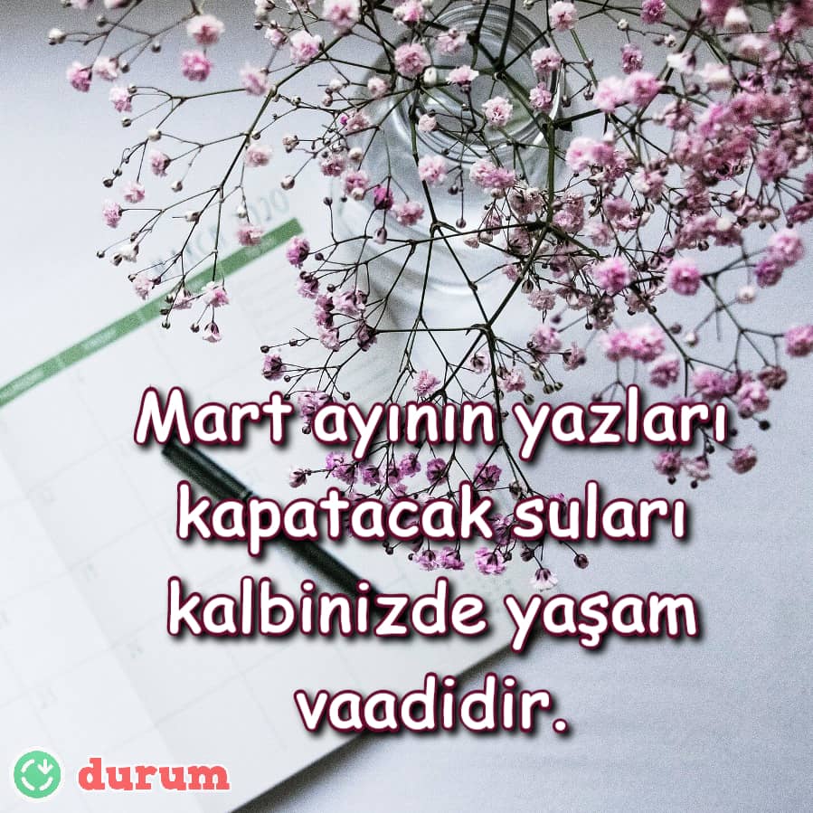 yazin gelisi
