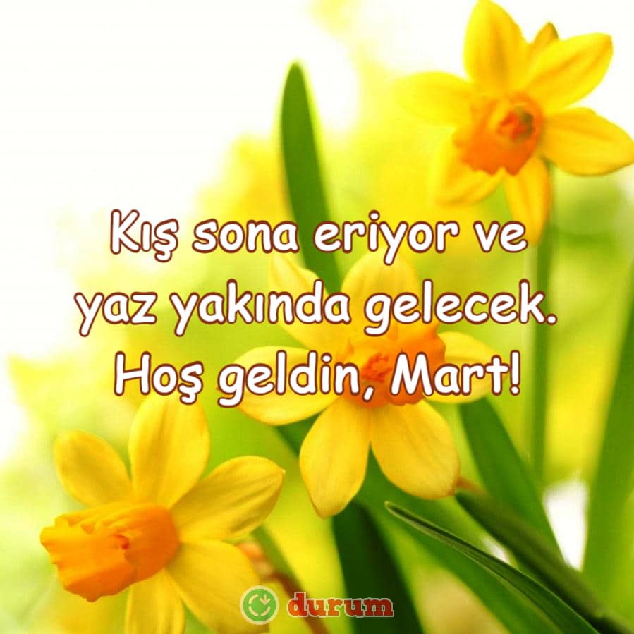 yazin gelisi