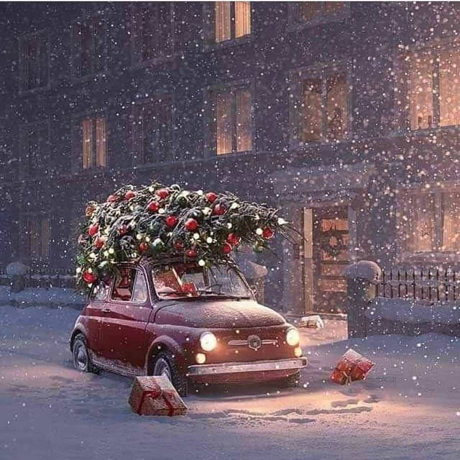 Yeni yıl kar