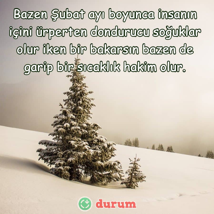 yepyeni şubat ayı sözleri