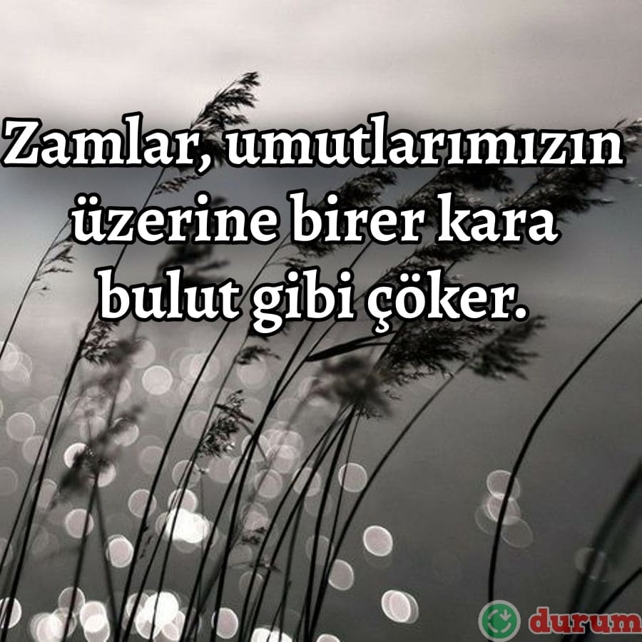 Zam sozleri 2023