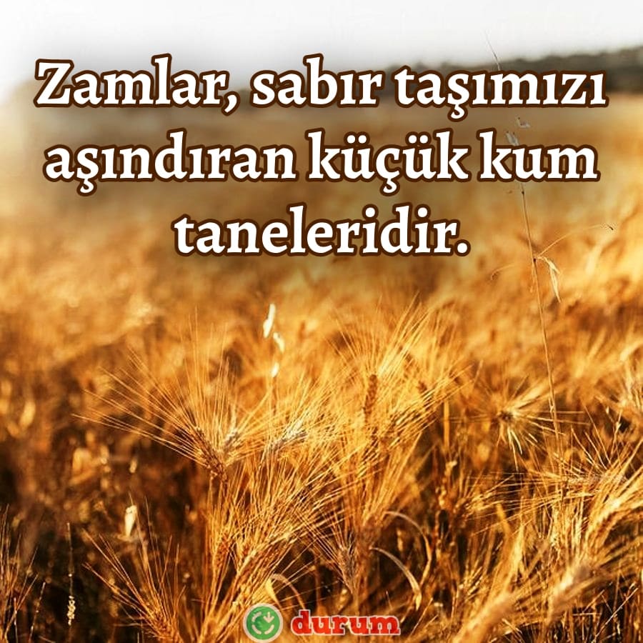Zam sozleri anlamli