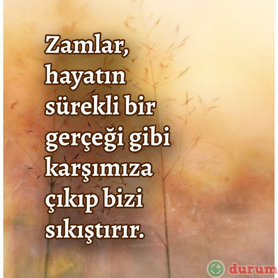 Zam sozleri