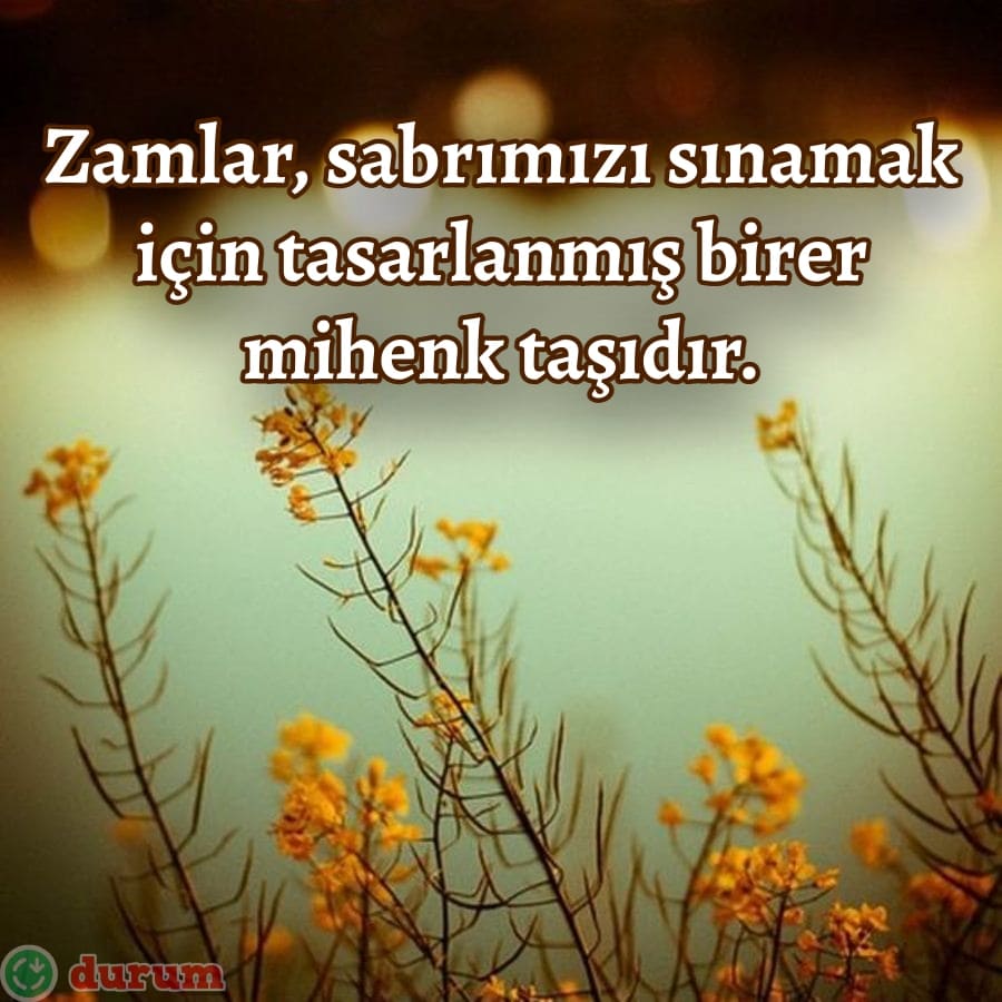 Zamlar İle İlgili Alıntılar  yeni