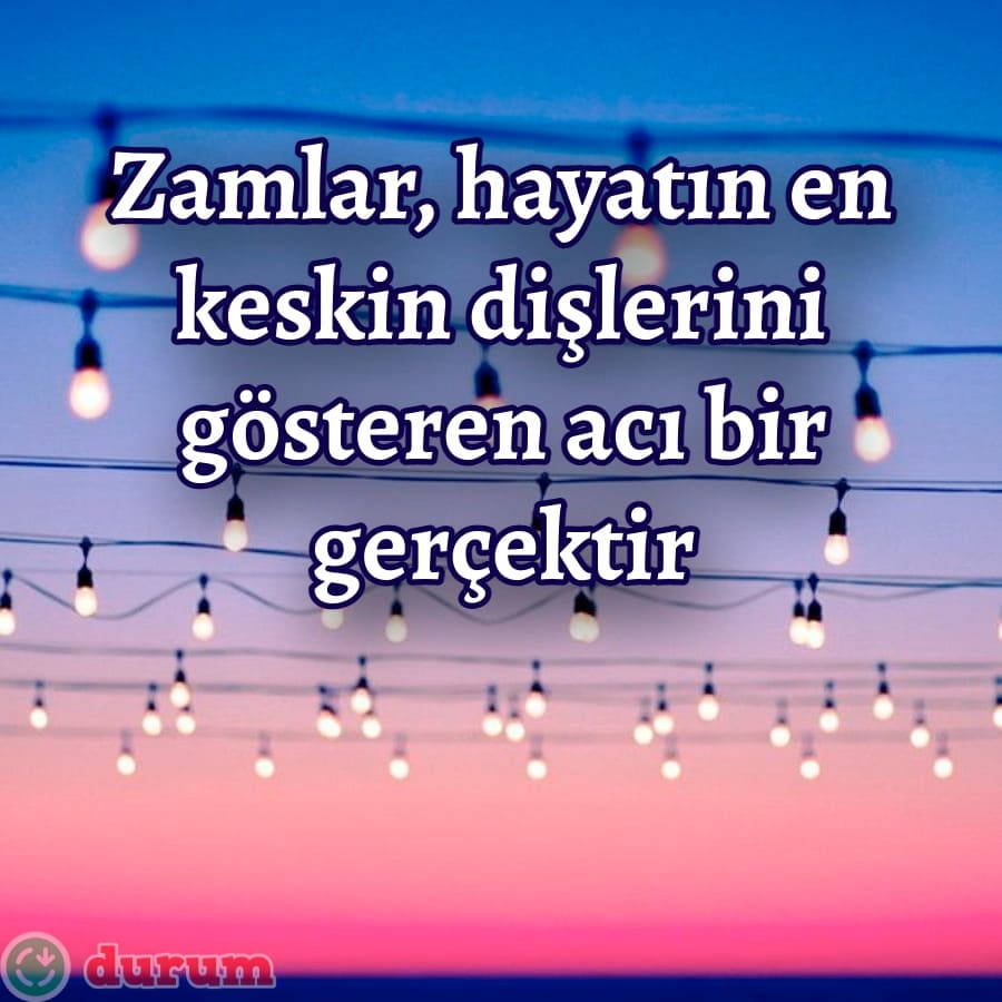 Zamlar İle İlgili Alıntılar kisa