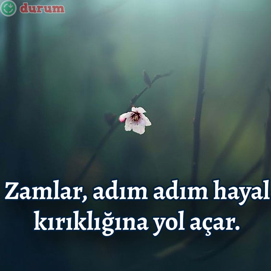 Zamlar İle İlgili Alıntılar resimli