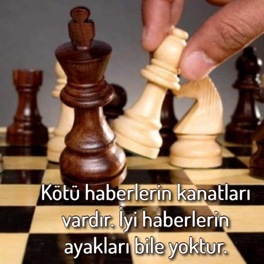 Zekice Söylenmiş En Mantıklı Mesajlar
